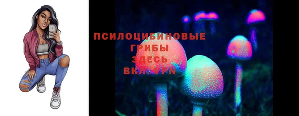 ПСИЛОЦИБИНОВЫЕ ГРИБЫ Богородицк