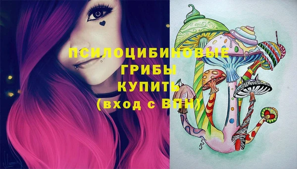 первитин Богородск
